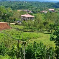 اجاره سالیانه خانه در بالا اربولنگه لنگرود