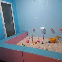 جذب نیروی خانم