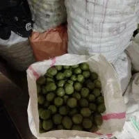 گردو|خوردنی و آشامیدنی|مشگین شهر, |دیوار