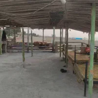 یک زوججوان جهت سرایداری در دریای فرح آباد ساری|استخدام سرایداری و نظافت|فرح آباد, |دیوار