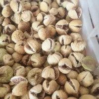 انجیر|عمده‌فروشی|داراب, |دیوار