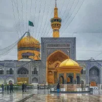 سفر به مشهد به آسانی پلک زدن|تور و چارتر|قم, بلوار امین و ساحلی|دیوار