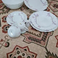 ظرف پذیرایی