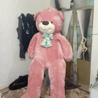 خرس خیلی بزرگ(تدی)