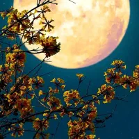 وکیل)هرپرونده ای که در دادگاه دهدشت دارید