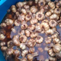 سیر ترشی طارم درجه یک|عمده‌فروشی|چورزق, |دیوار