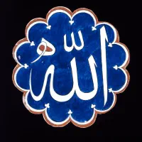 گمشده گوشواره طلای سفید