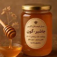 عسل طبیعی و دارویی جاشیر و گون برداشت محدود|خوردنی و آشامیدنی|اهواز, امانیه|دیوار