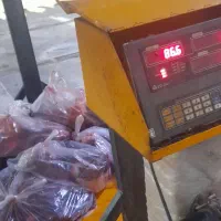 شش گوساله جیگر گوساله پاچه زبون مغز. آلایش