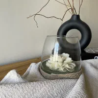 شمع گل ساخته شده با دست مناسب هدیه|صنایع دستی و سایر لوازم تزئینی|تهران, گلستان (شهرک راه آهن)|دیوار