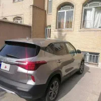 کیاسیلتوس پلاک منطقه