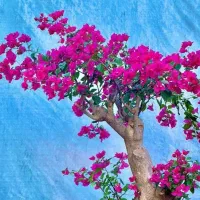 درختچه های شکوفه زیبا|گل مصنوعی|زرند, |دیوار