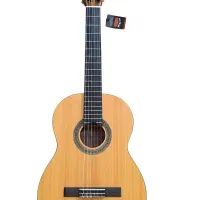 گیتار حرفه ای