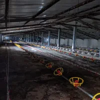 مرغداری ۳۰ هزارتایی|اجارهٔ دفتر صنعتی، کشاورزی، تجاری|گنبد کاووس, |دیوار