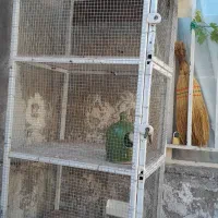 فروشی جفتی محکم تمیز،تورریز بافت|لوازم جانبی حیوانات|بوئین زهرا, |دیوار