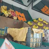 وسایل میوه فروشی