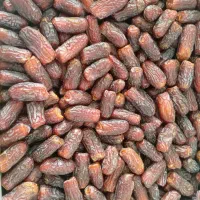 آجیل وخشکبار