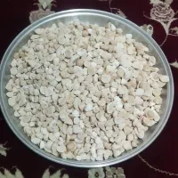 کشک|خوردنی و آشامیدنی|کوهدشت, |دیوار