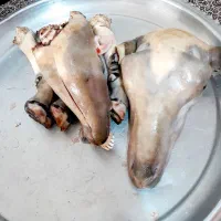 کله پاچه بره