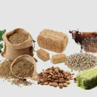 یونجه،گندم،جو،ذرت