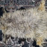 پوست طبیعی