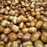 سنجد تازه، درجه یک و باکیفیت امسال.