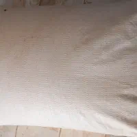 گندم قوتی برا نان