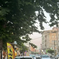 اجاره مغازه