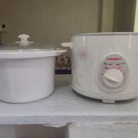 بخارپز برقی SUNNY