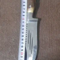 چاقودسته شاخ|کوهنوردی و کمپینگ|علی‌آباد کتول, |دیوار