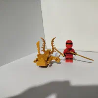 تعدادی لگو و قطعات لگو|اسباببازی|کرمان, |دیوار