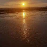 برنج علی کاظمی عطری درجه یک