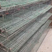 قفس بلدرچین(کارکرده)