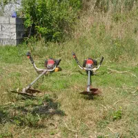 علف تراشی و چمن زنی و قطع انواع درخت|خدمات باغبانی و درختکاری|سرخرود, |دیوار