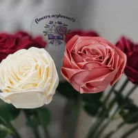 پیشنهاد اقتصادی برای روز معلم