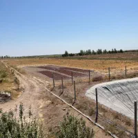 باغ انگور داربستی|فروش دفتر صنعتی، کشاورزی، تجاری|دشتابی, |دیوار