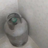سلندر بوتان نو