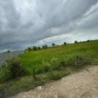 15هزارمترزمین-کشاورزی-مناسب-سرمایه-گذاری-اقساطی