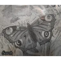 آموزش نقاشی