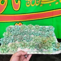 گیفت شمع با قیمت مناسب