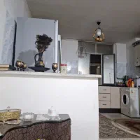همخانه فقط خانم