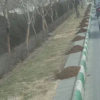 کودحیوانی آستانه قدس رضوی.فورش.وپخش|خدمات باغبانی و درختکاری|مشهد, مهدی آباد|دیوار