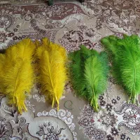 علامت و پر رنگی کوتاه و بلند