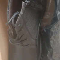 کفش مجلسی