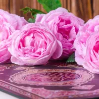 طالع بینی و سرکتاب