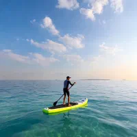 تور vip پدل برد