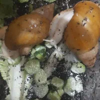 حلزون اچاتینا آلبینو