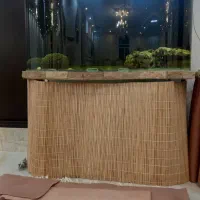 آکواریوم شیشه خم ۱۰ میل