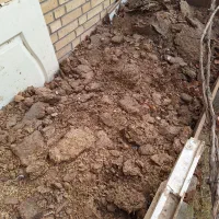 کودکبوتر وگوسفندی|گل و گیاه طبیعی|پردیس, شهرک صنعتی خرمدشت فاز ۷|دیوار