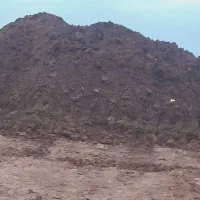 کود گاوی خاک باغچه